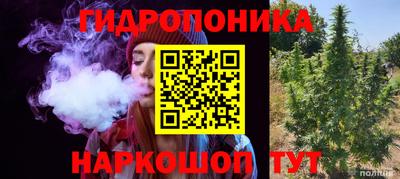 шишки Бугуруслан