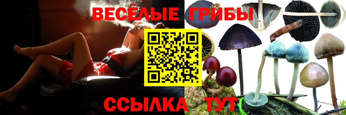 Псилоцибиновые грибы MAGIC MUSHROOMS  Вход с VPN  Малоярославец 